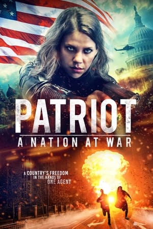 Patriot A Nation at War 2020 Hindi Dual Audio 300MB HD Poster Download - filmyfly