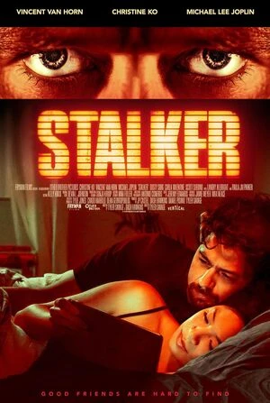 Stalker 2020 Hindi Dual Audio HD Poster Download - filmyfly