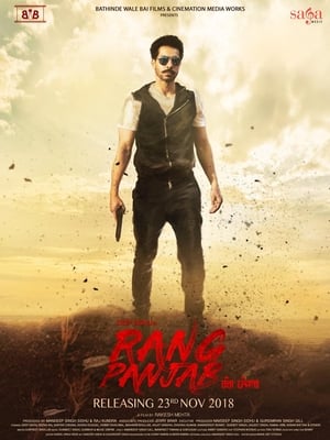 Rang Panjab (2018) Punjabi Movie – [350MB] HD Poster Download - filmyfly