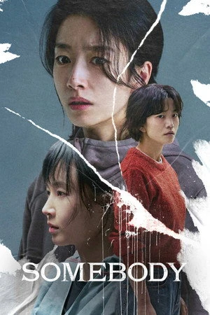 Somebody 2025 Hindi - Korean Dual Audio HD Poster Download - filmyfly