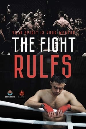 The Fight Rules 2017 Hindi Dual Audio 260MB HD Poster Download - filmyfly