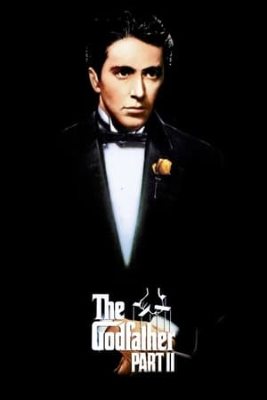The Godfather Part II (1974) Dual Audio Hindi Full Movie - 1GB HD Poster Download - filmyfly