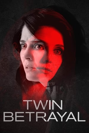 Twin Betrayal (2018) Hindi Dual Audio 390MB HD Poster Download - filmyfly